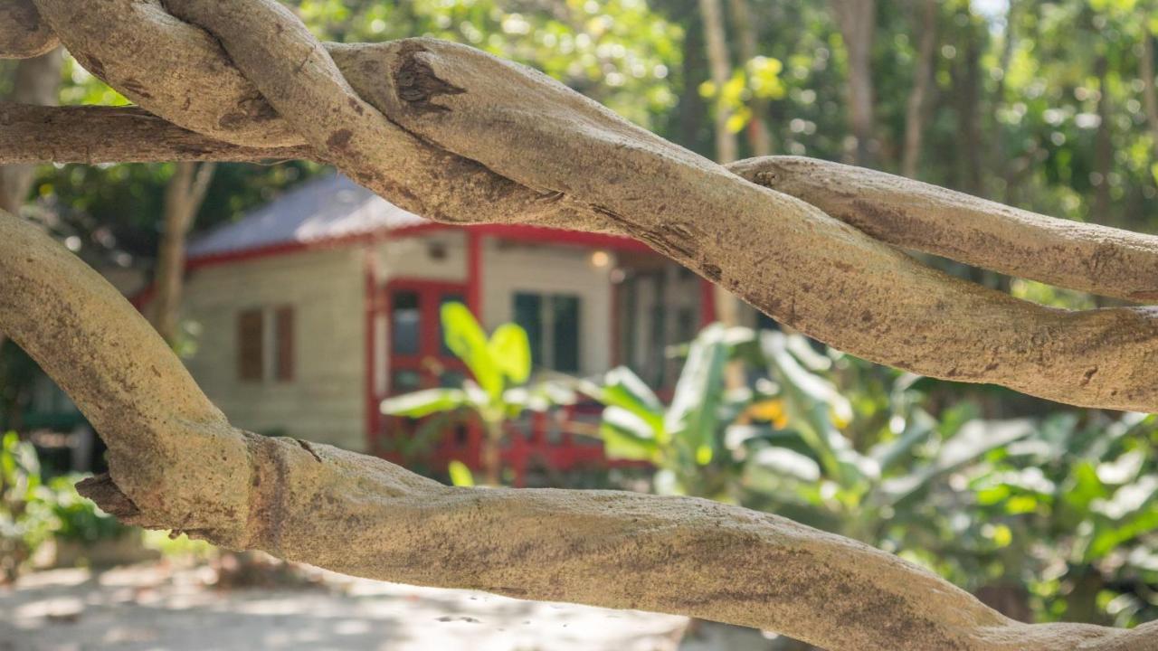 Sarasea Koh Rong Samloem Ξενοδοχείο Koh Rong Sanloem Εξωτερικό φωτογραφία